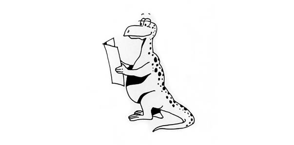 illustration drache
