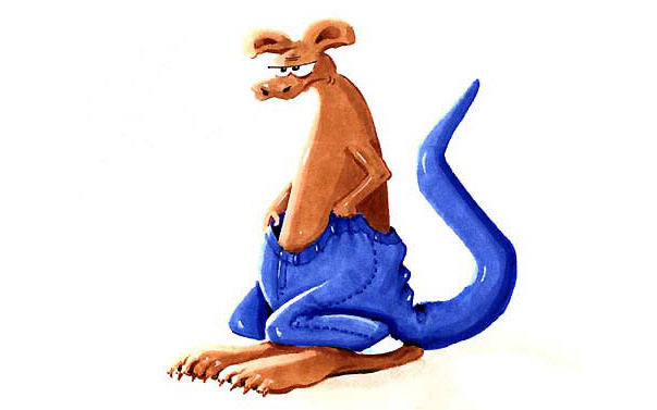 illustration kaenguruh